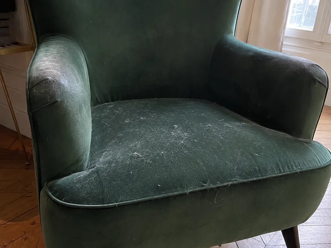 Avant nettoyage : Fauteuil en velours vert, poils de chat incrustés, accoudoirs lustrés et ternis